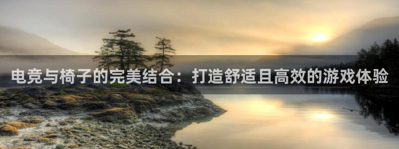 乐鱼电竞网站：电竞与椅子的完美结合：打造舒适且高效的游戏体验