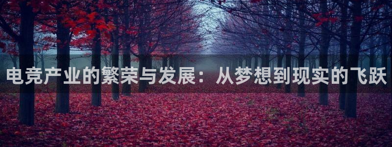 乐鱼电竞网站：电竞产业的繁荣与发展：从梦想到现实的飞跃