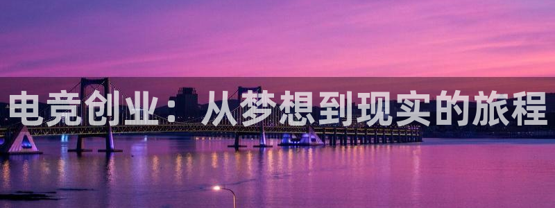 乐鱼电竞平台：电竞创业：从梦想到现实的旅程