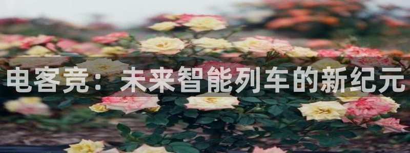 乐鱼电竞官网：电客竞：未来智能列车的新纪元