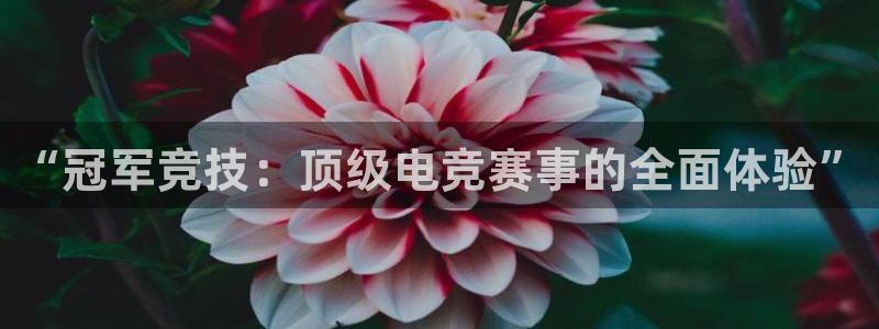乐鱼电竞平台：“冠军竞技：顶级电竞赛事的全面体验”