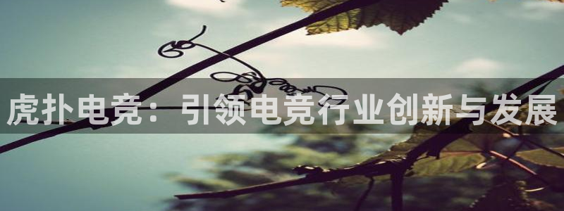 乐鱼电竞英雄联盟app官方：虎扑电竞：引领电竞行业创新与发展