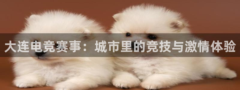 乐鱼电竞网站