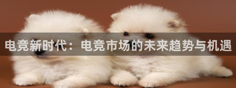 乐鱼电竞平台