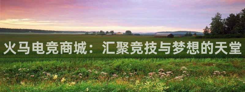 乐鱼电竞平台