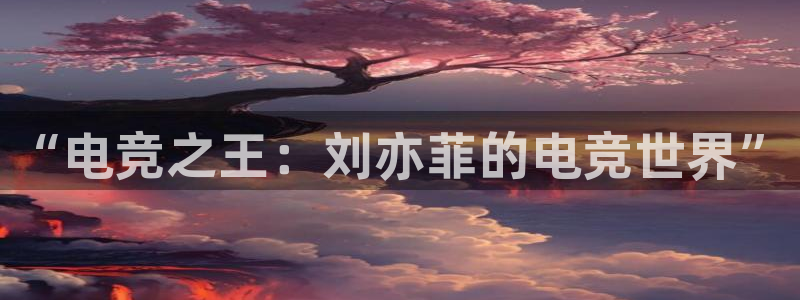 乐鱼电竞app