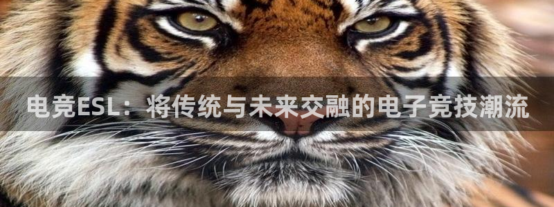 乐鱼电竞app下载