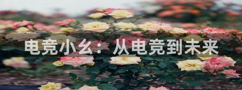 乐鱼电竞英雄联盟app官方