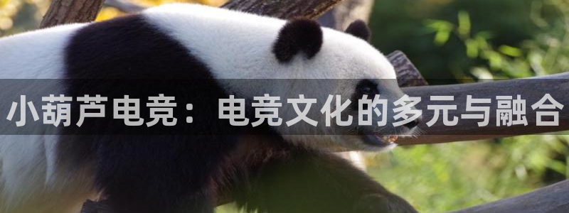 乐鱼电竞app