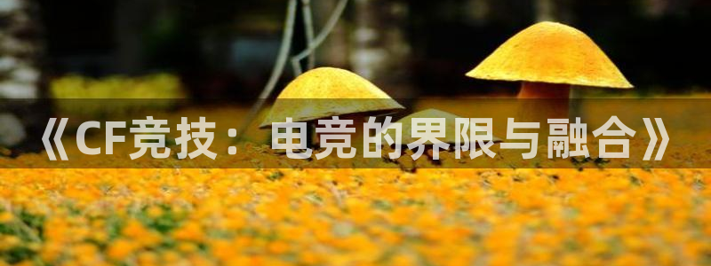 乐鱼电竞网站