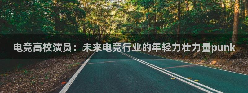 乐鱼电竞官网