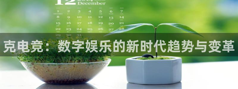 乐鱼电竞app下载