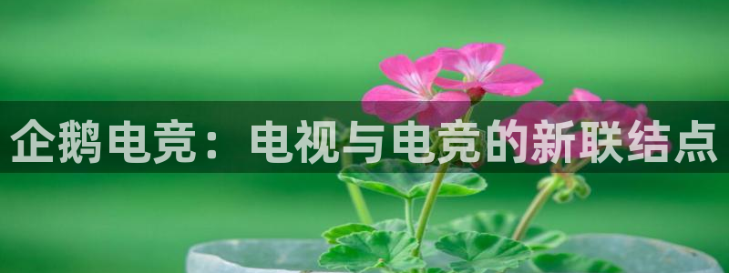 乐鱼电竞下载