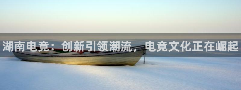 乐鱼电竞app