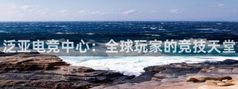乐鱼电竞网站