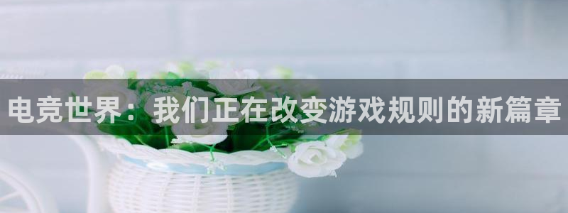 乐鱼电竞英雄联盟app官方