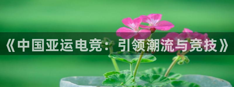 乐鱼电竞平台