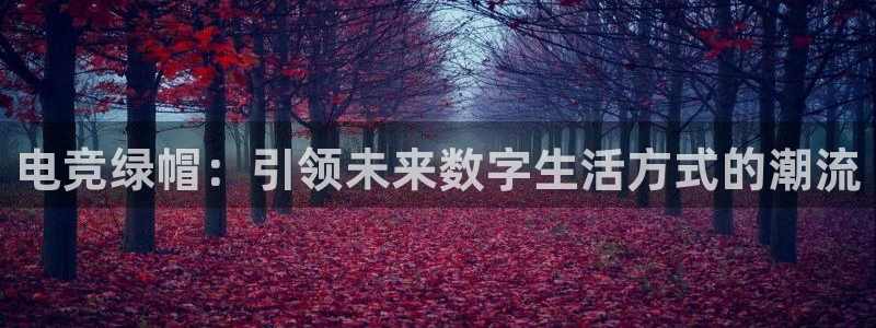 乐鱼电竞app下载