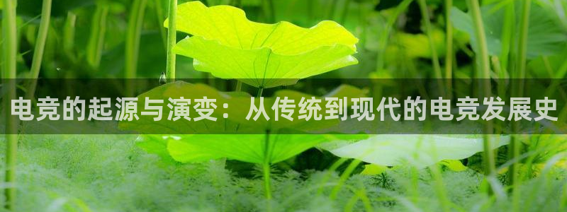 乐鱼电竞英雄联盟app官方