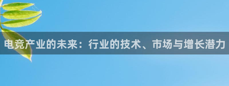 乐鱼电竞平台