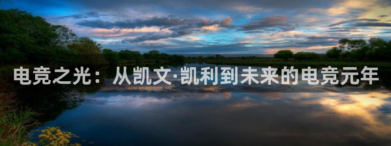 乐鱼电竞app下载：电竞之光：从凯文·凯利到未来的电竞元年