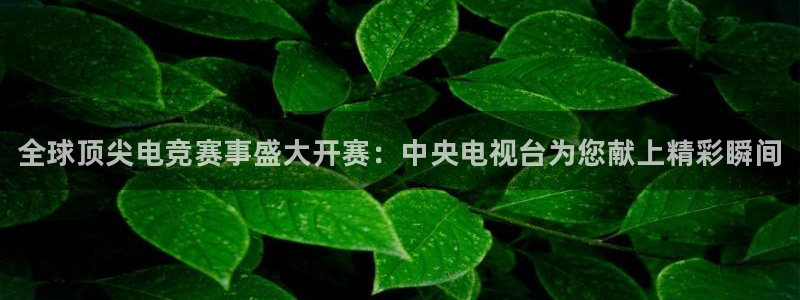 乐鱼电竞平台：全球顶尖电竞赛事盛大开赛：中央电视台为您献上精彩瞬间
