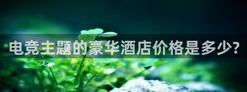 乐鱼电竞平台：电竞主题的豪华酒店价格是多少?