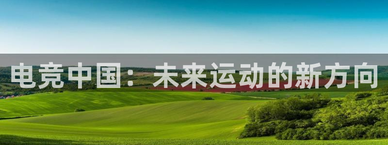 乐鱼电竞app：电竞中国：未来运动的新方向