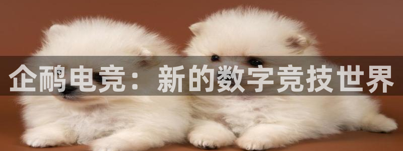 乐鱼电竞app下载：企鸸电竞：新的数字竞技世界