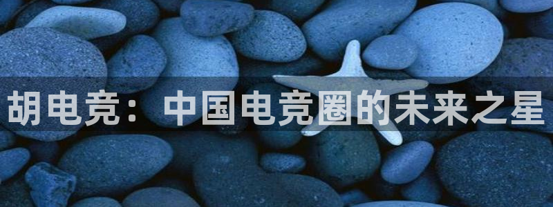 乐鱼电竞网站：胡电竞：中国电竞圈的未来之星