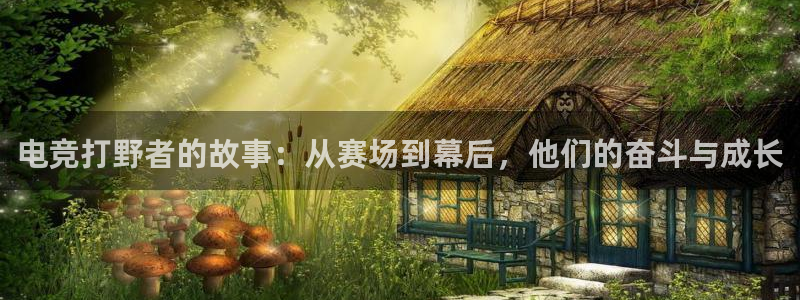 乐鱼电竞英雄联盟app官方：电竞打野者的故事：从赛场到幕后，他们的奋斗与成长