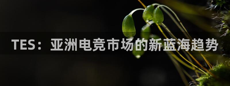 乐鱼电竞平台：TES：亚洲电竞市场的新蓝海趋势