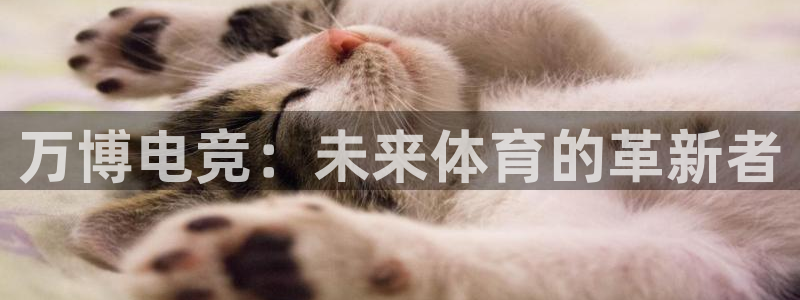乐鱼电竞英雄联盟app官方：万博电竞：未来体育的革新者