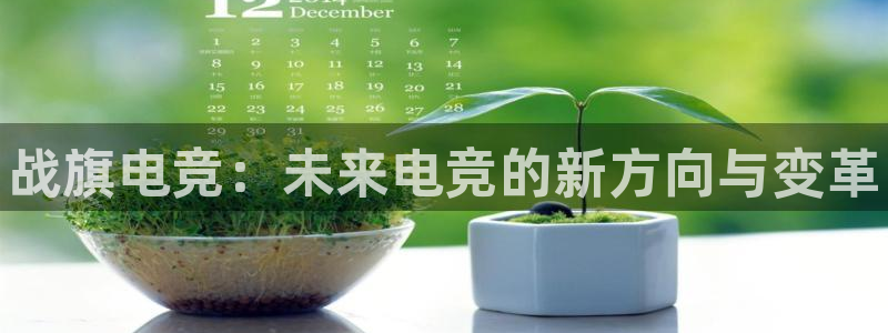 乐鱼电竞：战旗电竞：未来电竞的新方向与变革
