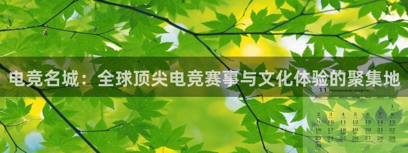 乐鱼电竞网站：电竞名城：全球顶尖电竞赛事与文化体验的聚集地