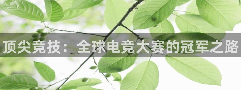 乐鱼电竞网站：顶尖竞技：全球电竞大赛的冠军之路