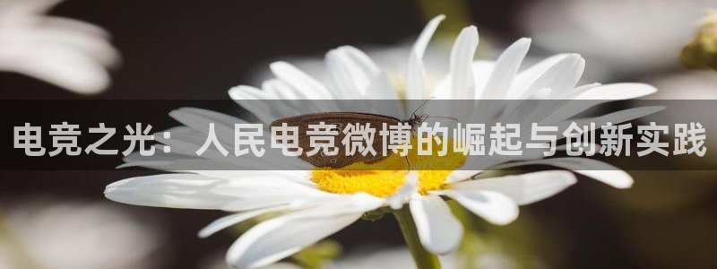 乐鱼电竞网站：电竞之光：人民电竞微博的崛起与创新实践