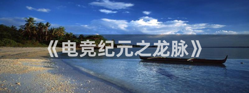 乐鱼电竞英雄联盟app官方：《电竞纪元之龙脉》