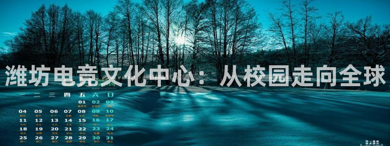 乐鱼电竞网站：潍坊电竞文化中心：从校园走向全球