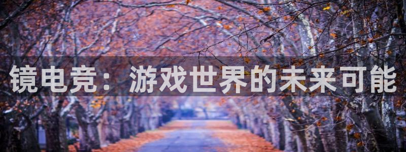 乐鱼电竞下载：镜电竞：游戏世界的未来可能