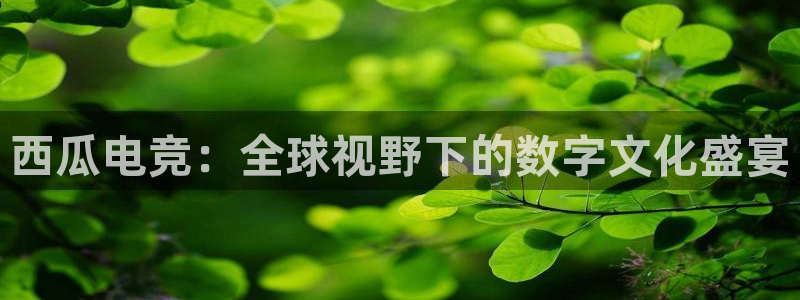 乐鱼电竞英雄联盟app官方：西瓜电竞：全球视野下的数字文化盛宴