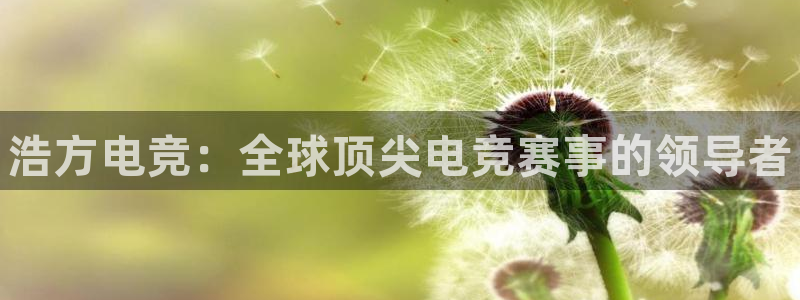 乐鱼电竞app：浩方电竞：全球顶尖电竞赛事的领导者