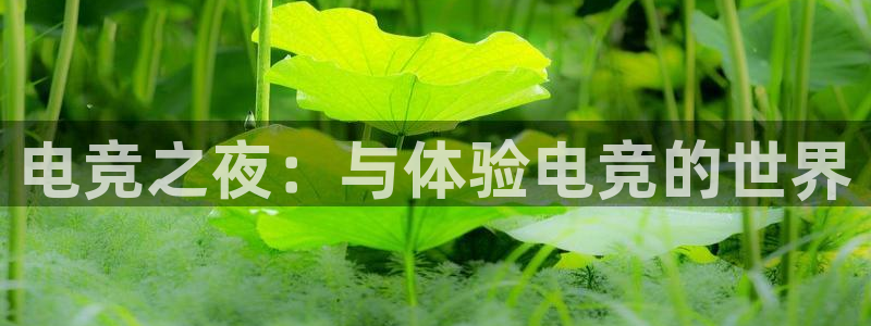 乐鱼电竞下载：电竞之夜：与体验电竞的世界