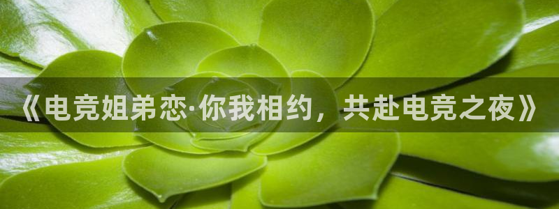 乐鱼电竞：《电竞姐弟恋·你我相约，共赴电竞之夜》