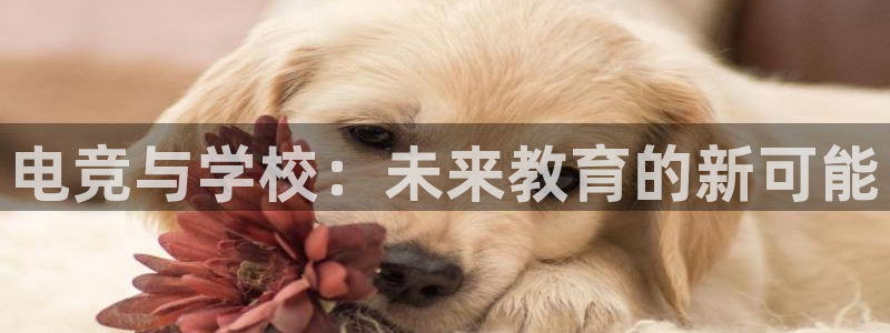 乐鱼电竞app：电竞与学校：未来教育的新可能