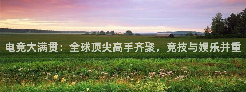 乐鱼电竞网站：电竞大满贯：全球顶尖高手齐聚，竞技与娱乐并重