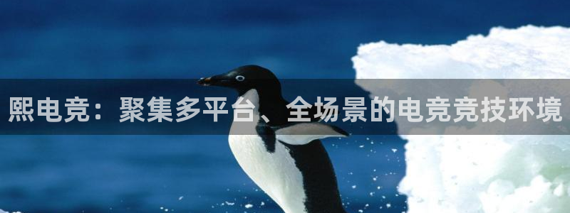 乐鱼电竞：熙电竞：聚集多平台、全场景的电竞竞技环境