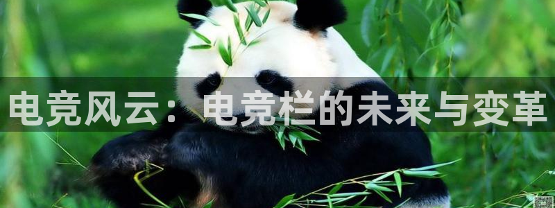 乐鱼电竞官网：电竞风云：电竞栏的未来与变革
