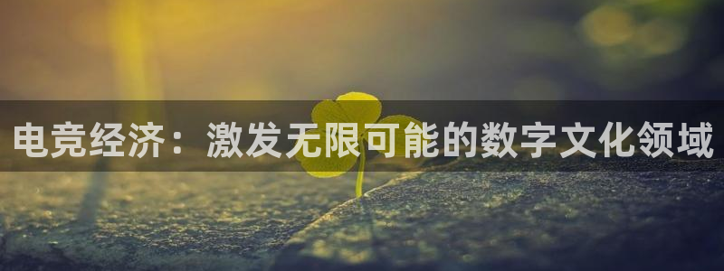 乐鱼电竞app：电竞经济：激发无限可能的数字文化领域