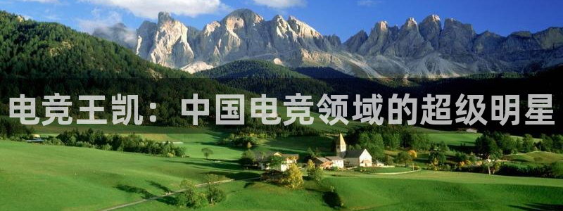 乐鱼电竞官网：电竞王凯：中国电竞领域的超级明星